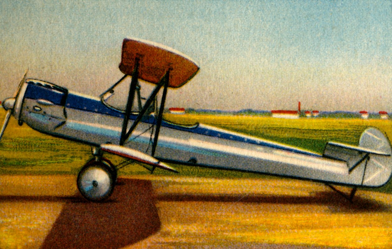 एल्बाट्रॉस एल 82 विमान, 1920, 1932। द्वारा अज्ञात