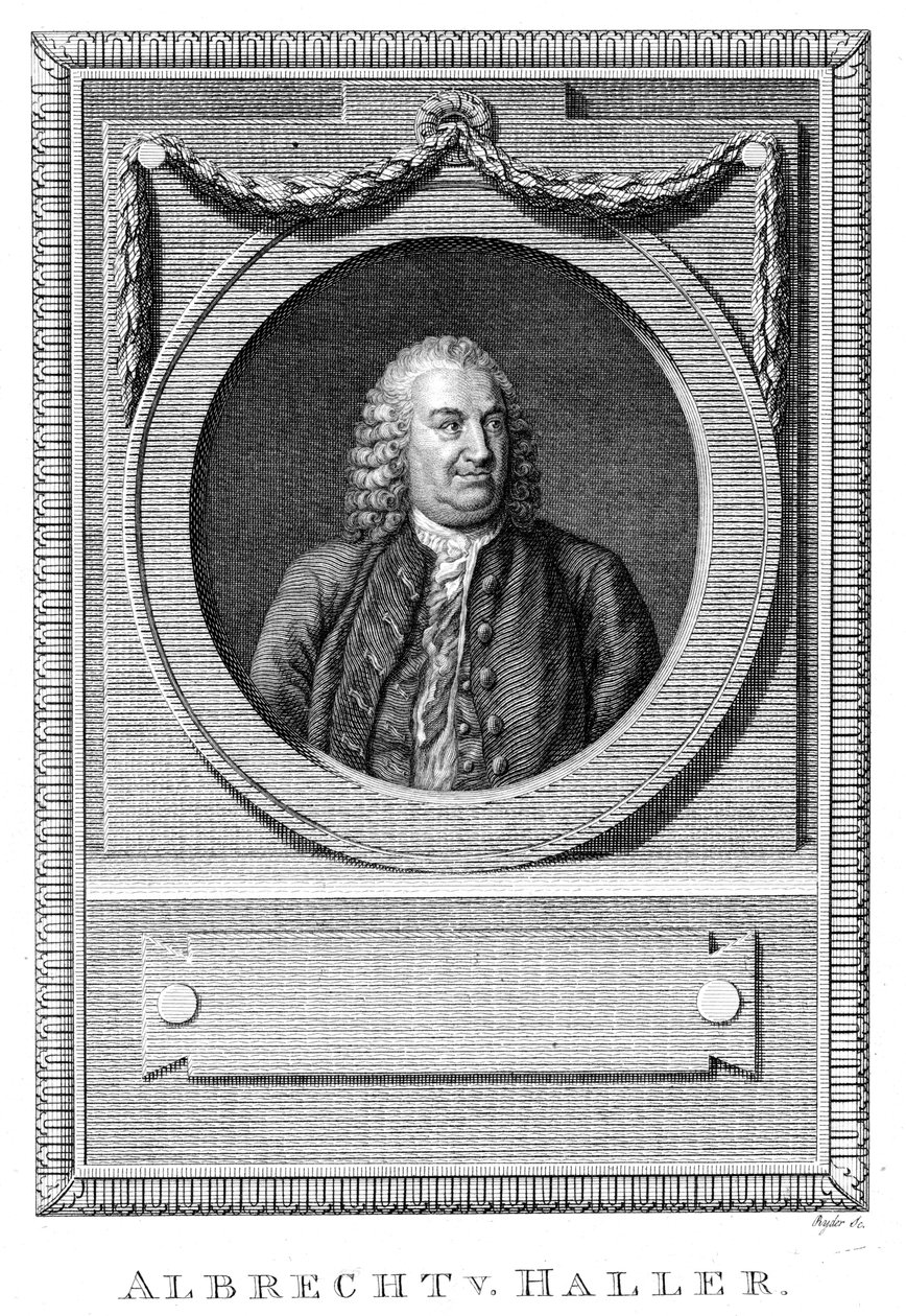 अल्ब्रेक्ट वॉन हॉलर, स्विस चिकित्सक और वैज्ञानिक, c1770 c1780 द्वारा अज्ञात