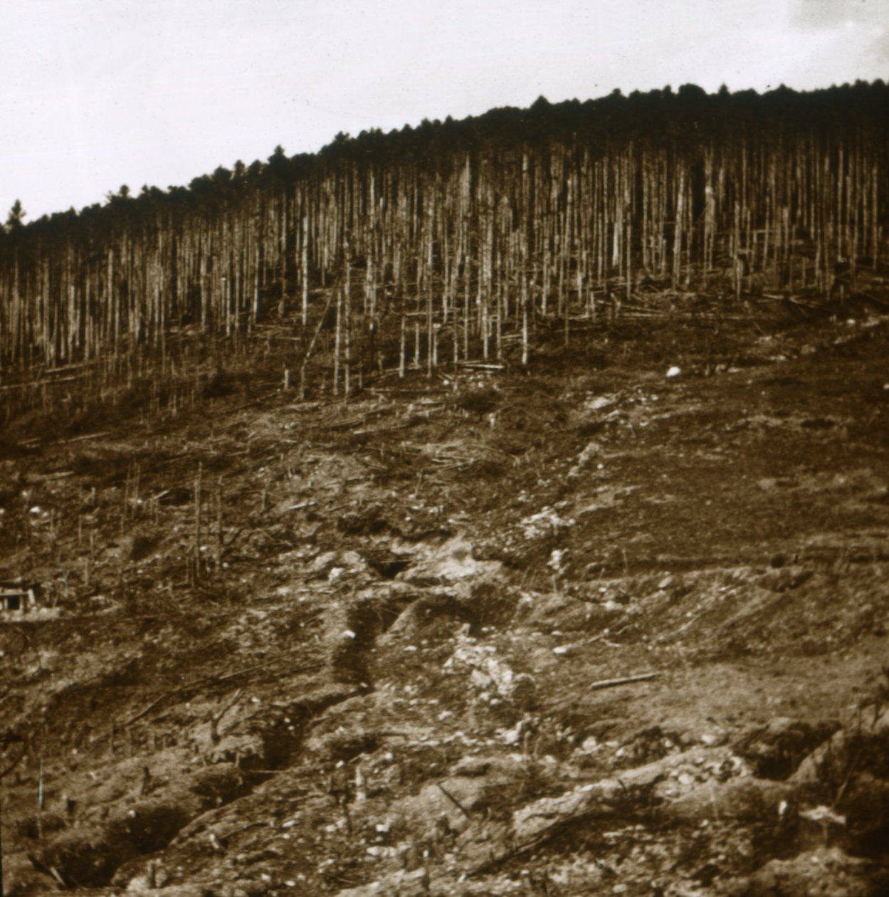एलेस, c1914-c1918 द्वारा अज्ञात