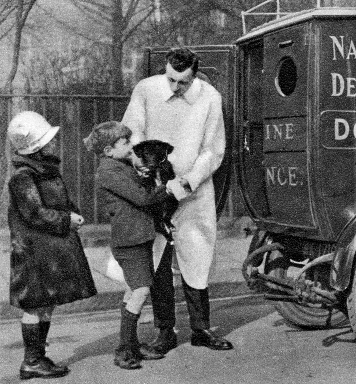 नेशनल कैनाइन डिफेंस लीग, लंदन, 1926-1927 की एम्बुलेंस द्वारा अज्ञात