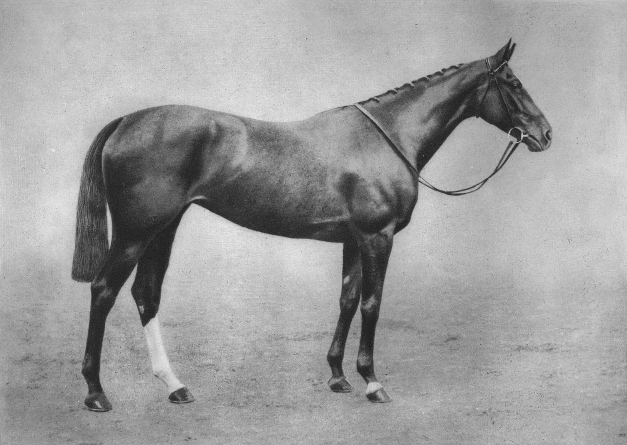 अमेरिका की लड़की, 1911 द्वारा अज्ञात