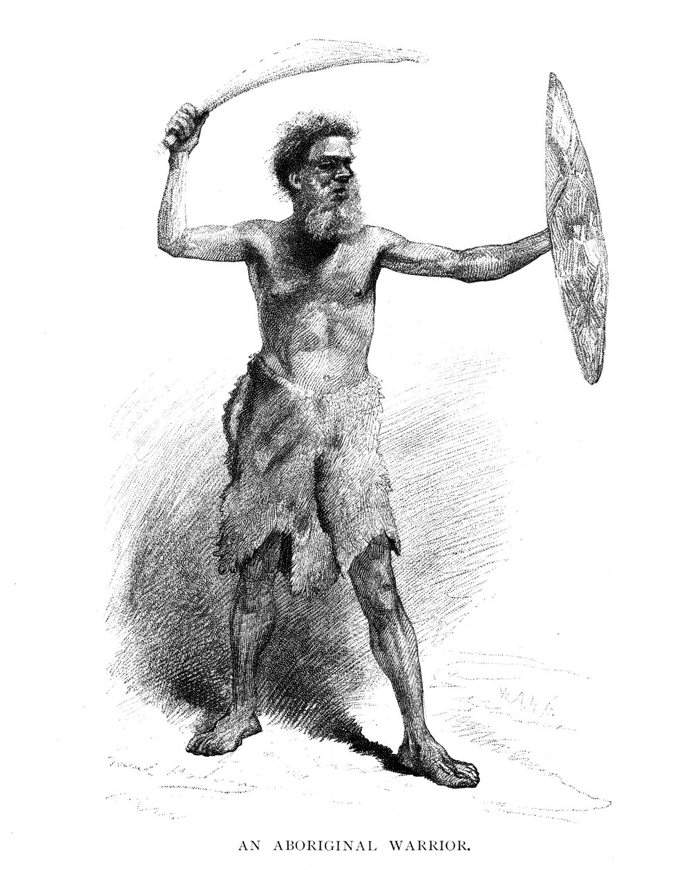एक आदिवासी योद्धा, 1886 द्वारा अज्ञात