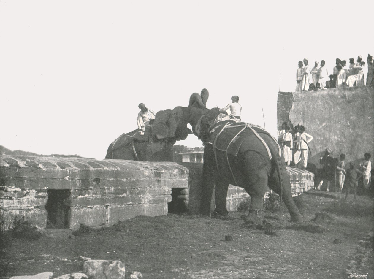 एक हाथी लड़ाई, हैदराबाद, भारत, 1895। द्वारा अज्ञात