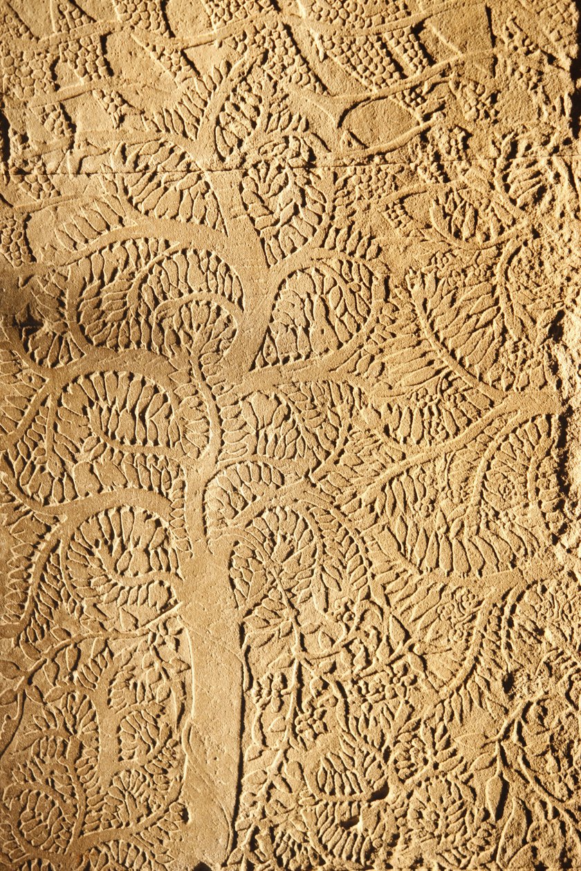 अंगकोर वाट, वॉलट्री पर नक्काशीदार विवरण, सिएम रीप, कंबोडिया द्वारा अज्ञात