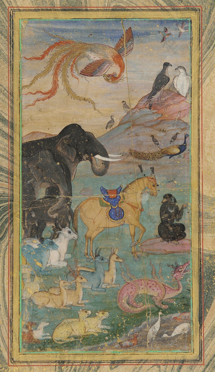 पशु और पक्षी, 17वीं सदी। द्वारा अज्ञात