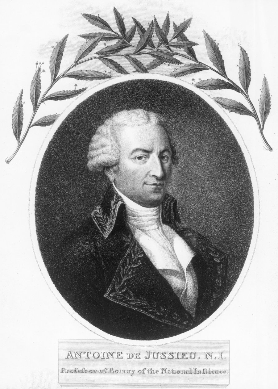 एंटोनी डी जुसिएओ, 18 वीं शताब्दी के फ्रांसीसी वनस्पतिशास्त्री, 1807 द्वारा अज्ञात