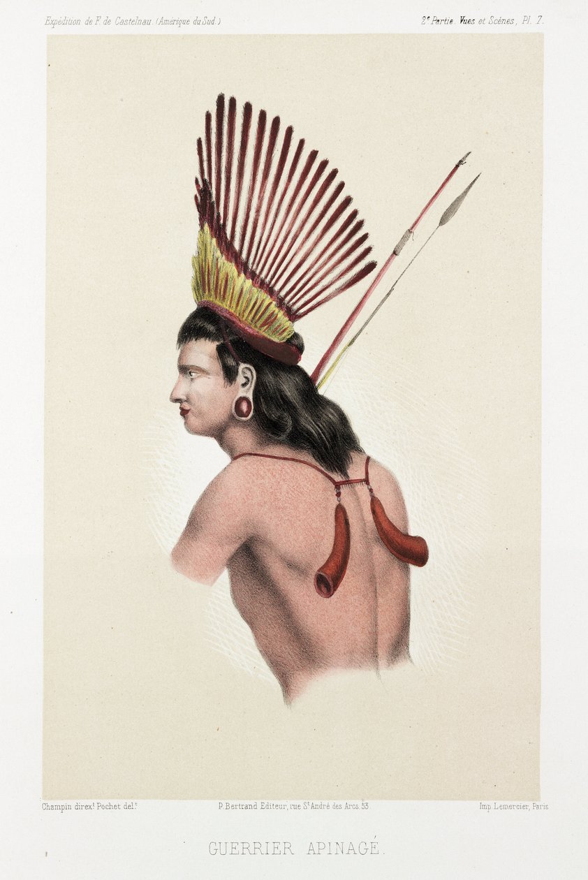 एपिनेज योद्धा, ब्राजील, सी 1843-1847 द्वारा अज्ञात