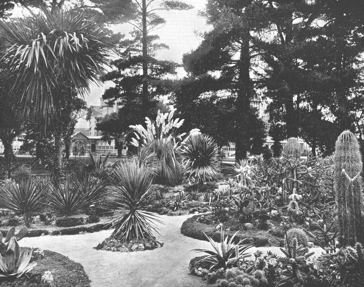 एरिज़ोना गार्डन, मोंटेरे, कैलिफोर्निया, संयुक्त राज्य अमेरिका, c1900। द्वारा अज्ञात