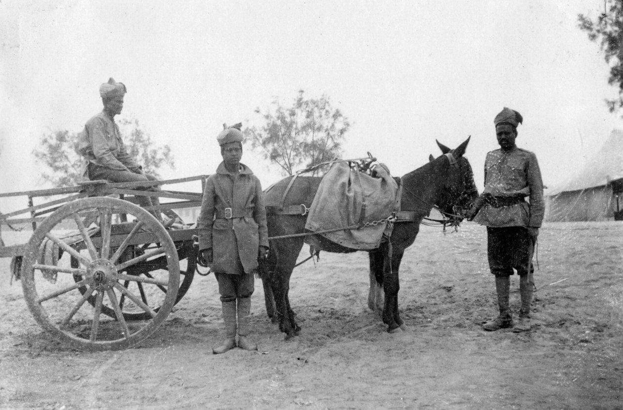 सेना की सेवा कॉर्प, होवशेरा, 1917 द्वारा अज्ञात