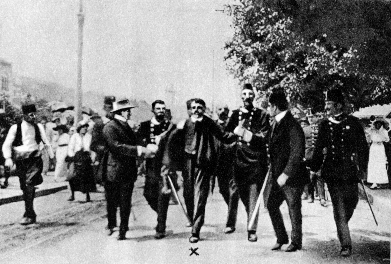 गवरिलो प्रिंसिपल, आर्कड्यूक फ्रांज फर्डिनेंड, 1914 के हत्यारे द्वारा अज्ञात