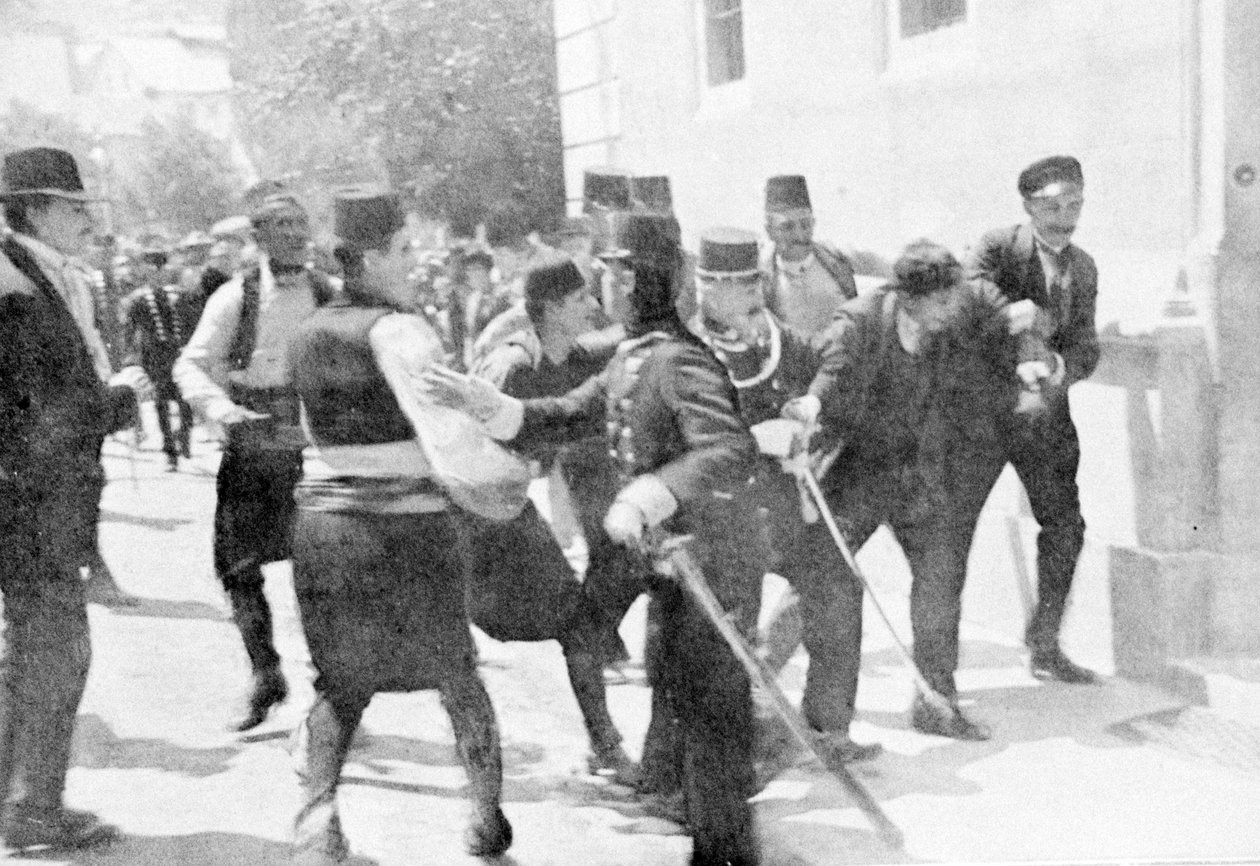 गवरिलो प्रिंसिपल, आर्कड्यूक फ्रांज फर्डिनेंड, 1914 के हत्यारे द्वारा अज्ञात