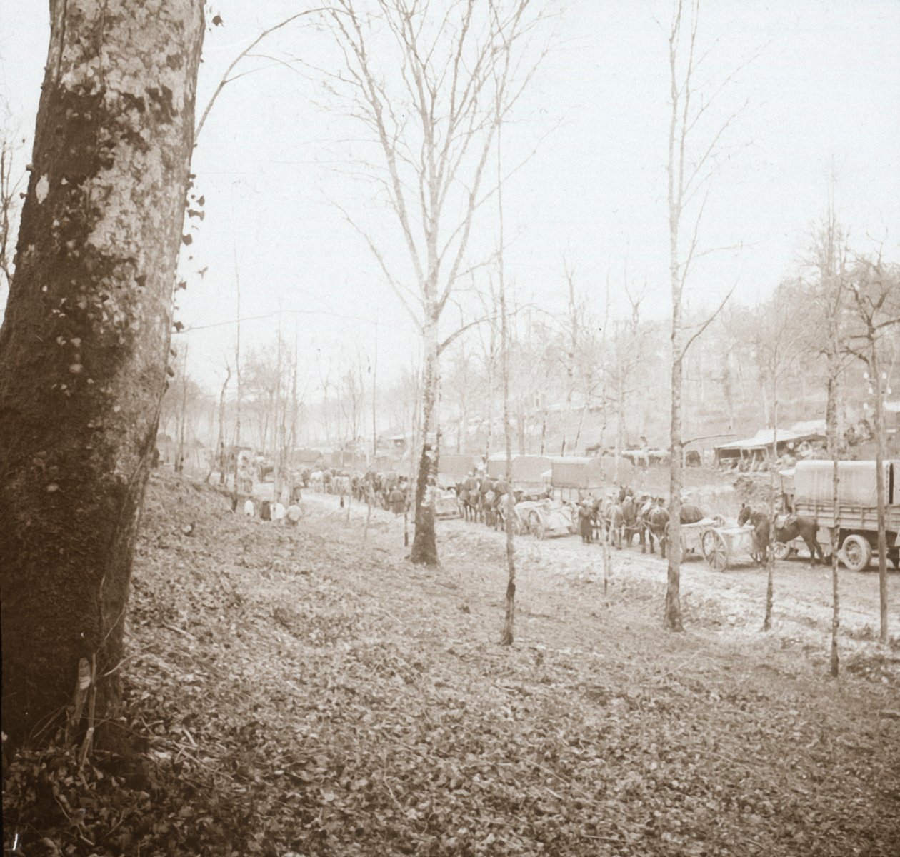आर्टिलरी, सोम्मे, उत्तरी फ्रांस, c1914-c1918 द्वारा अज्ञात