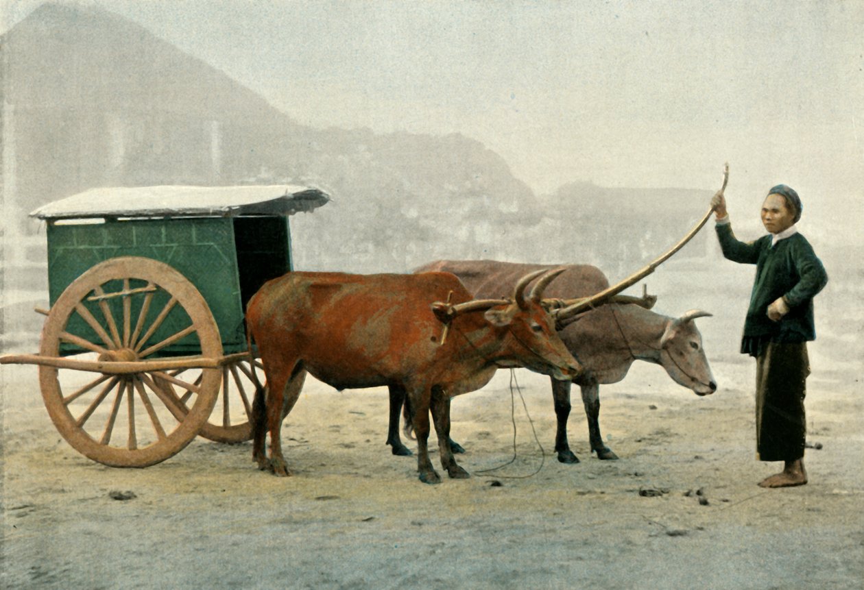 अटेलेंज एननामाइट, एनामाइट योक, 1900। द्वारा अज्ञात