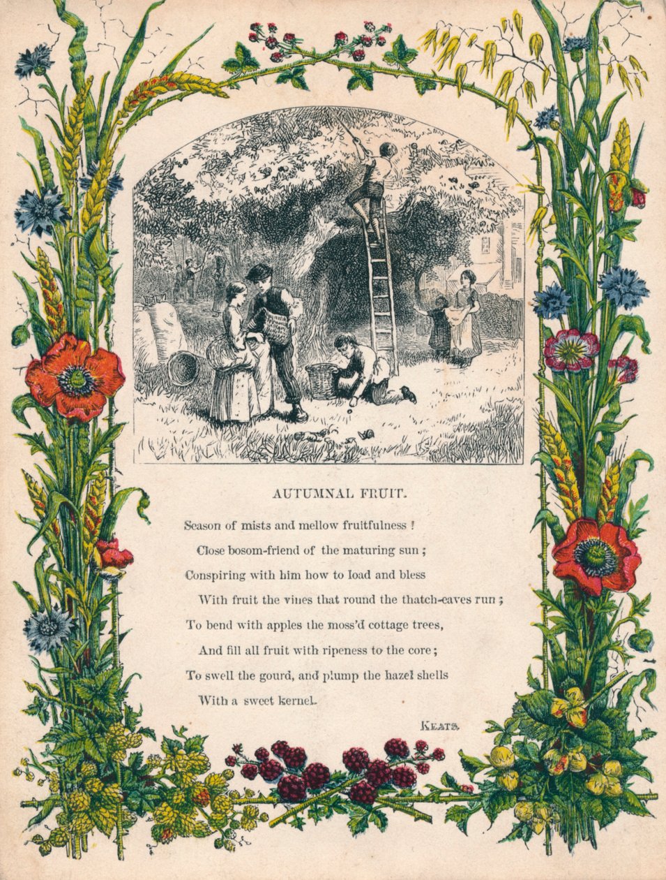 पतंग द्वारा शरद ऋतु फल, c1900 द्वारा अज्ञात