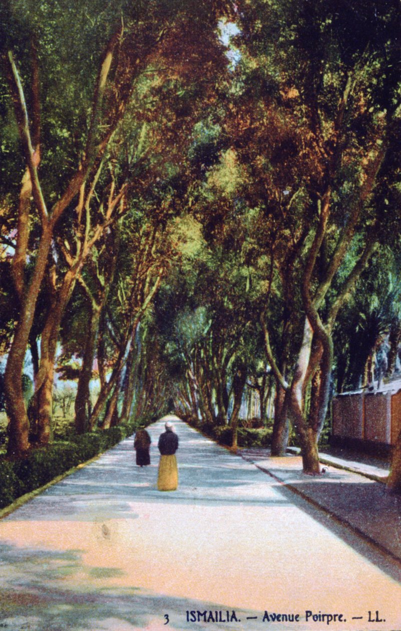 एवेन्यू पोइपर, इस्माइलिया, मिस्र, c1900 द्वारा अज्ञात