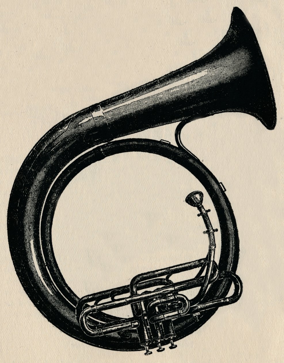 बीबी सर्कुलर बेस, 1910। द्वारा अज्ञात