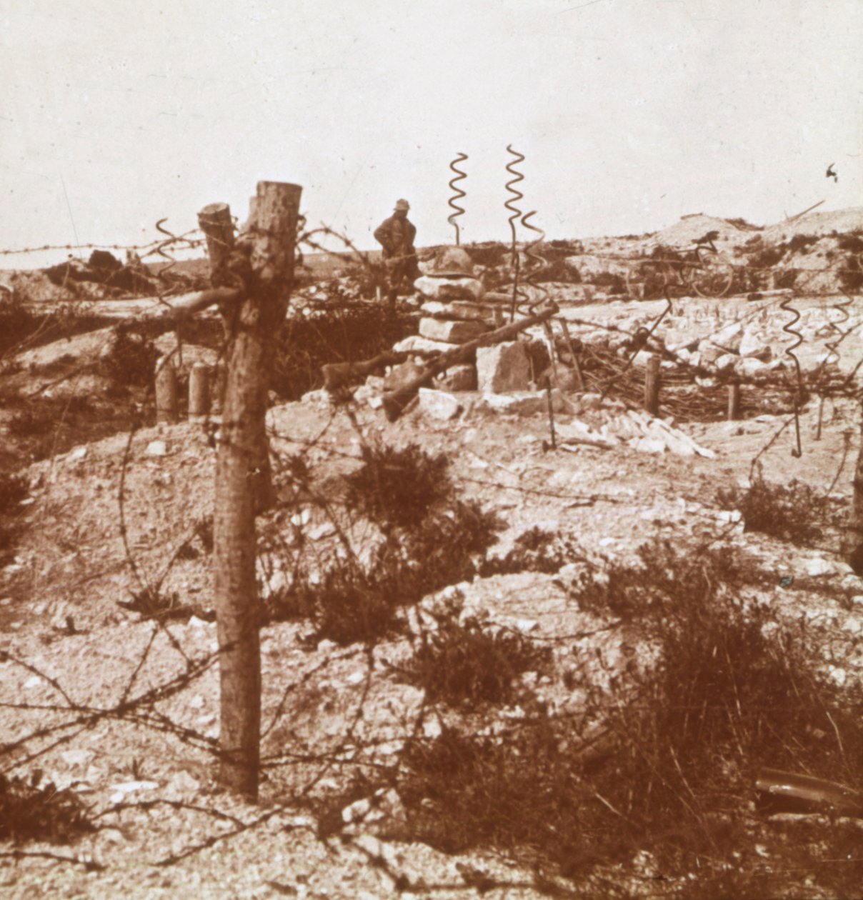 कांटेदार तार, क्रोनोन, उत्तरी फ्रांस, c1914-c1918 द्वारा अज्ञात