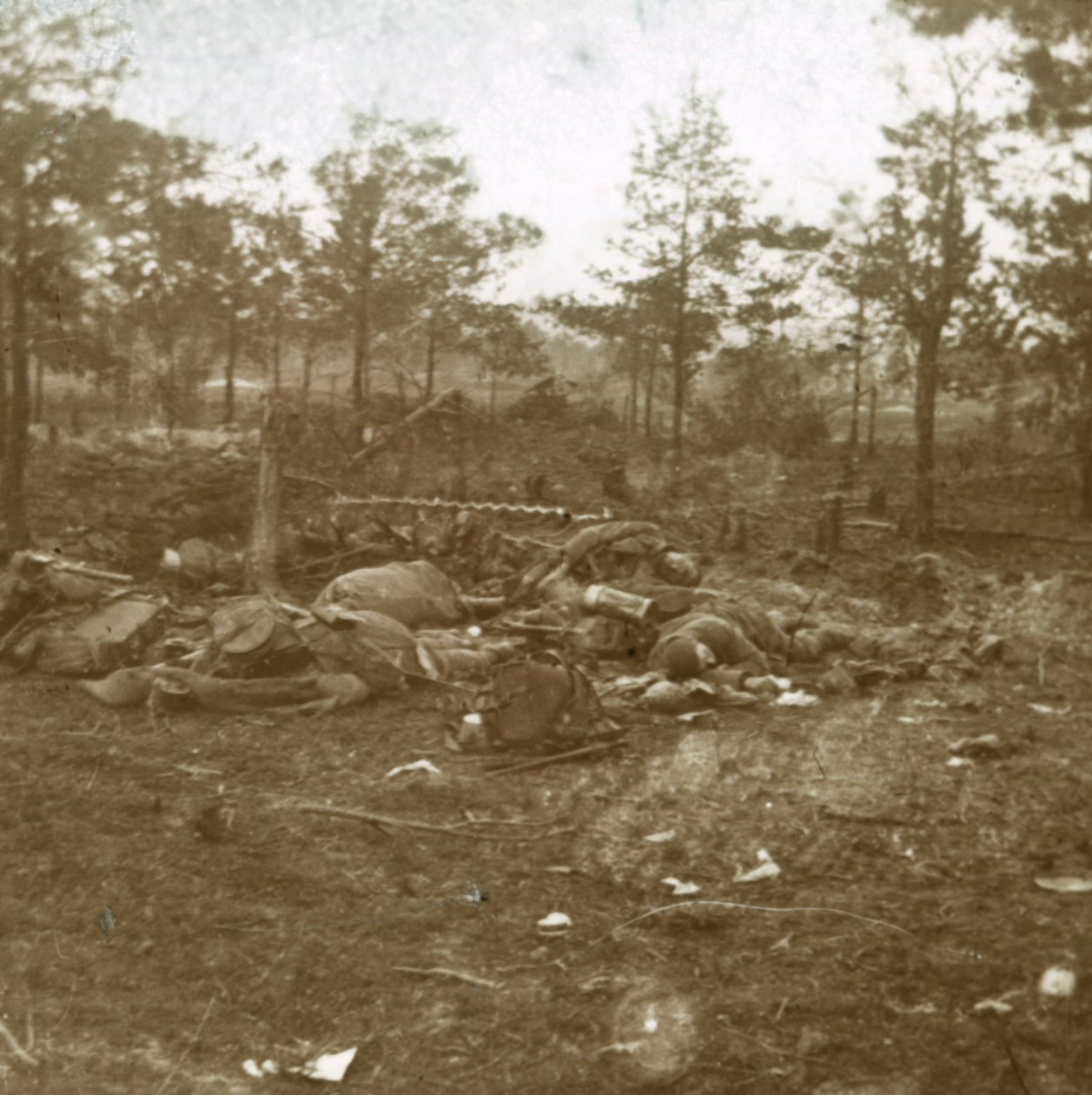 शैम्पेन की लड़ाई, सौने, उत्तरी फ्रांस, c1915। द्वारा अज्ञात