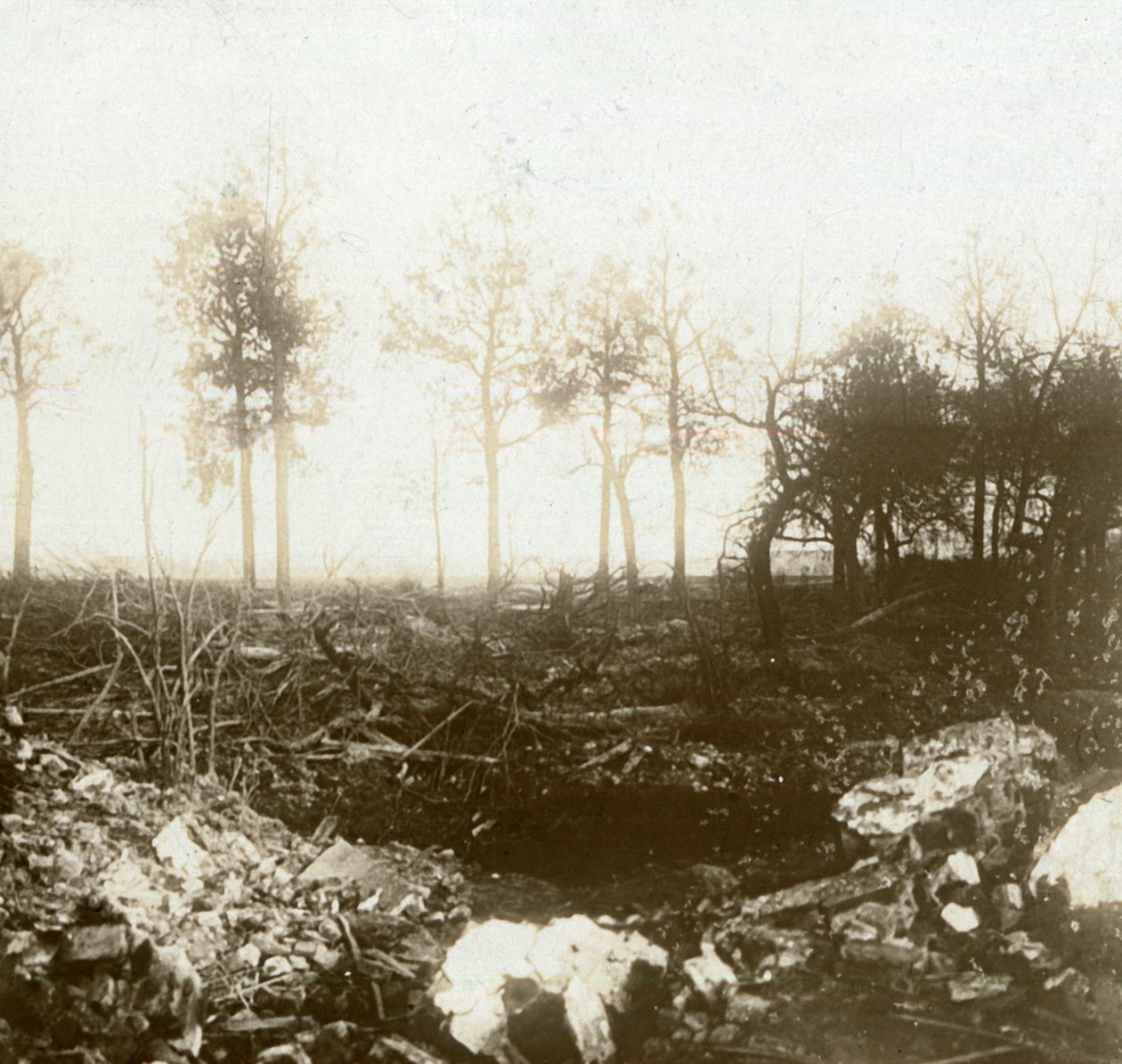 बैटलफील्ड, रोसेलेरे, फ्लैंडर्स, बेल्जियम, c1914-c1918 द्वारा अज्ञात
