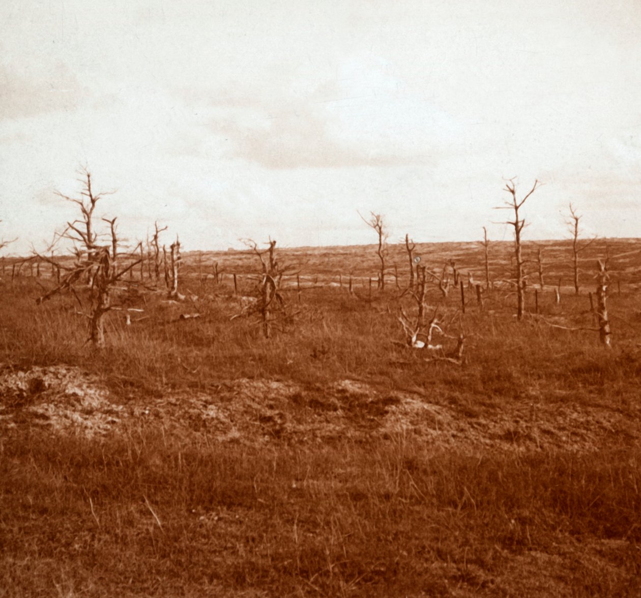 बैटलफील्ड, ताहुर, उत्तरी फ्रांस, c1914-c1918 द्वारा अज्ञात