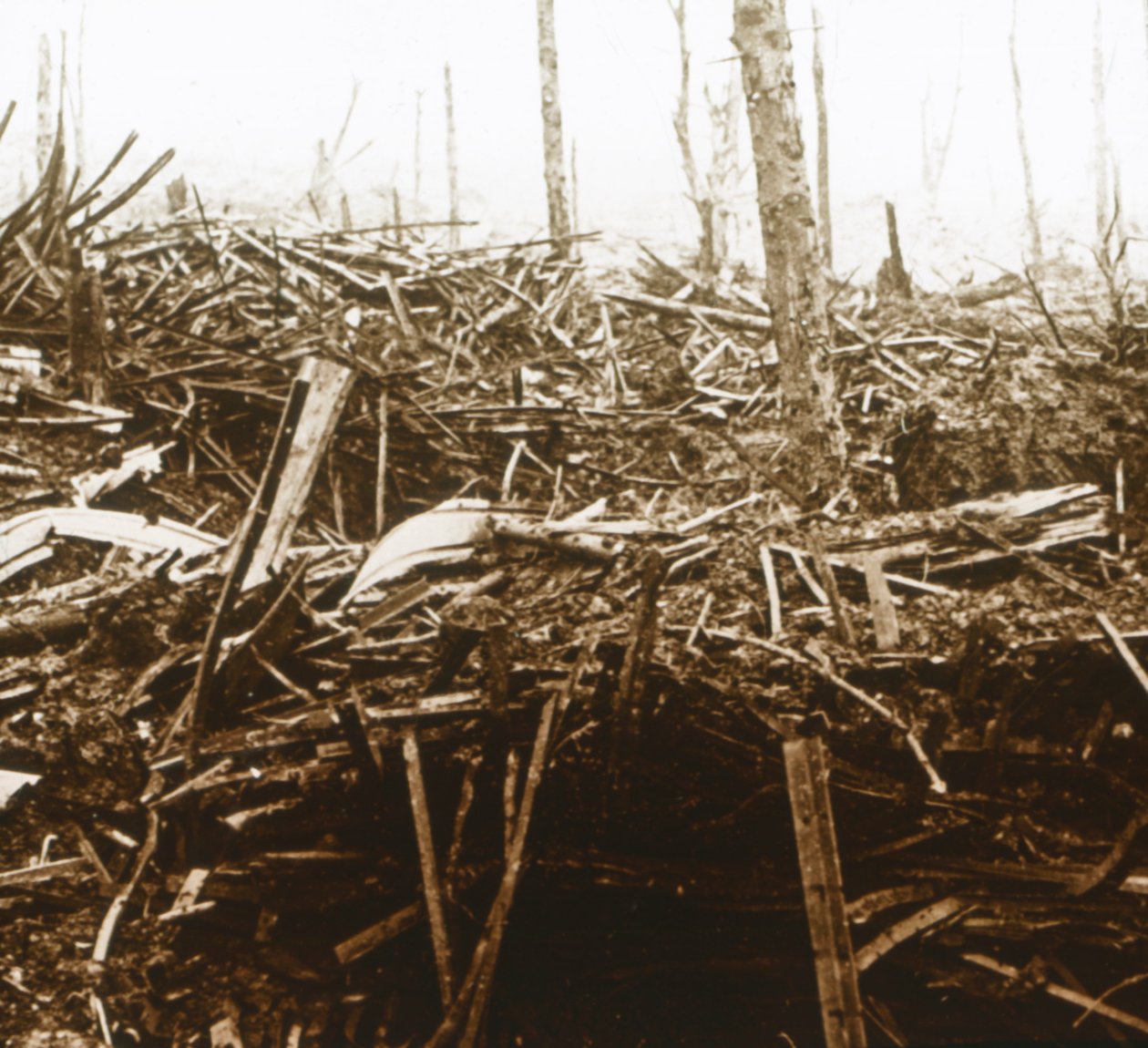 बैटलफील्ड, c1914-c1918 द्वारा अज्ञात