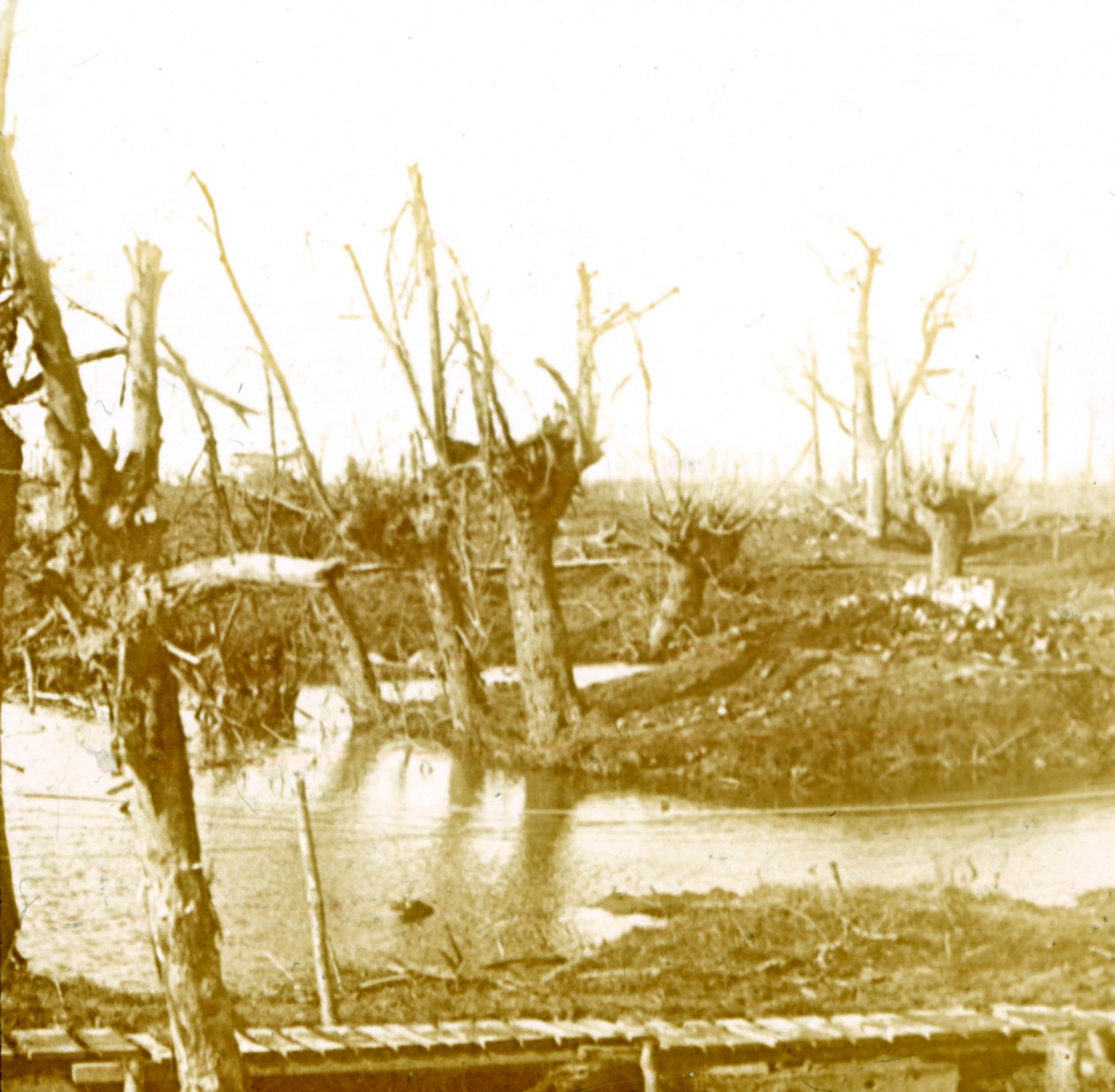 बैटलफील्ड, c1914-c1918 द्वारा अज्ञात