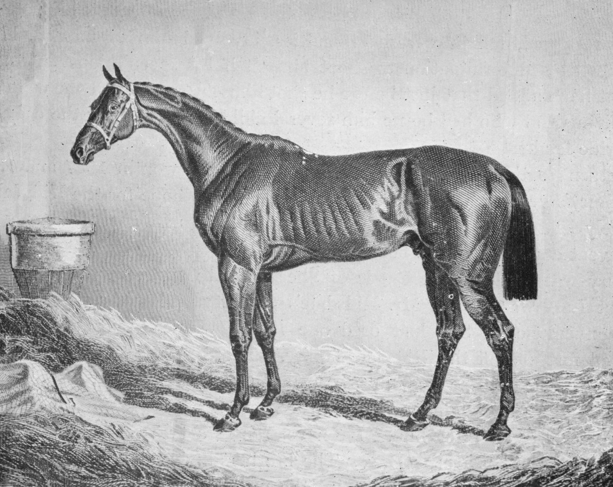 बे मिडलटन, 1833-1857, 1911 द्वारा अज्ञात