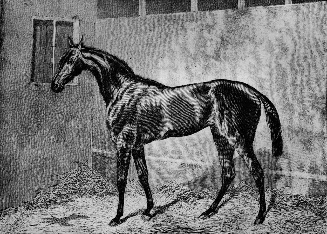 बीड्समैन, 1855-1872, 1911 द्वारा अज्ञात