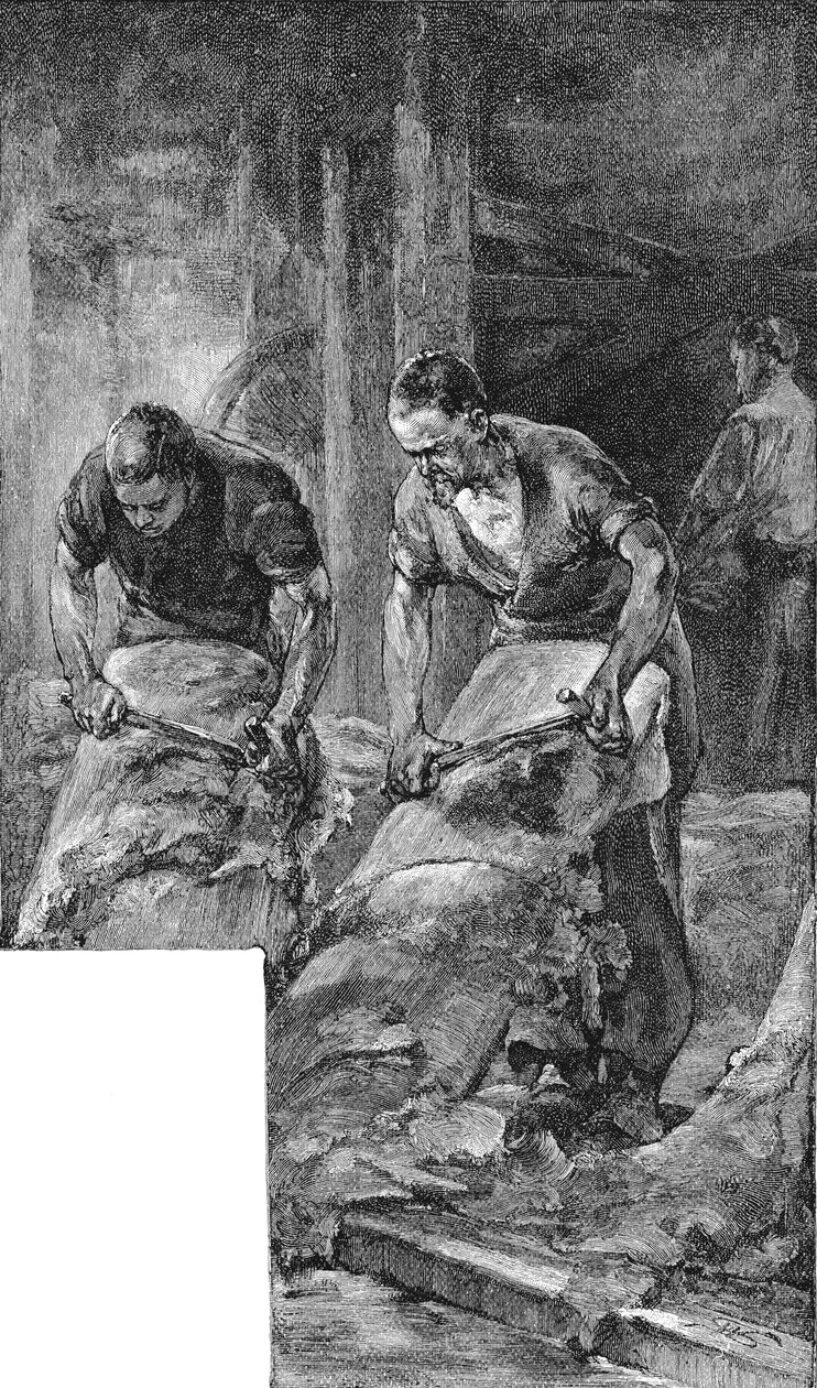 बीमिंग जूता चमड़े के उत्पादन के लिए छुपाता है, 1885 द्वारा अज्ञात