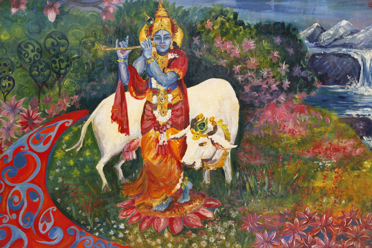भक्तिवेदांत मनोर पेंटिंग कृष्ण और एक गाय को दर्शाती है, वाटफोर्ड, ग्रांडे-ब्रेटगेन द्वारा अज्ञात