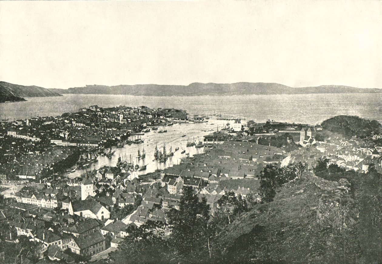 बर्ड, बर्गन, नॉर्वे, 1895 के पक्षी के दृश्य। द्वारा अज्ञात