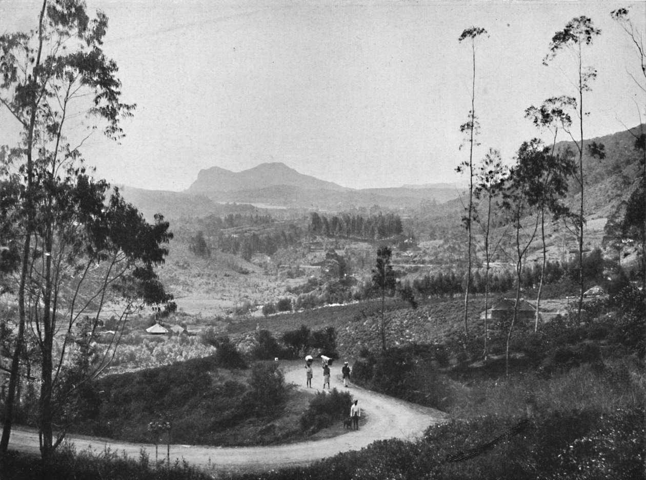 रामबोदा दर्रे से दक्षिण-पूर्व की ओर नुवारा एलिया और हाक्गल्ला रॉक, 1926 को देखें द्वारा अज्ञात