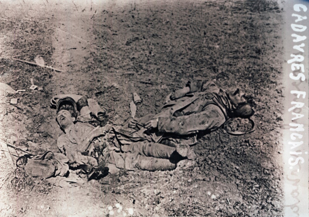 मृत फ्रांसीसी सैनिकों के शरीर, c1914-c1918 द्वारा अज्ञात