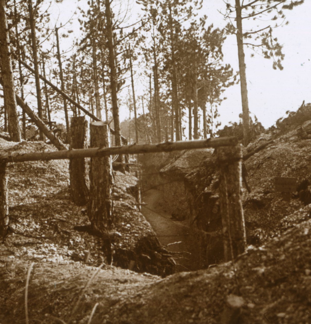 बोइस-ले-प्रेट्रे, उत्तरी फ्रांस, c1914-c1915 द्वारा अज्ञात