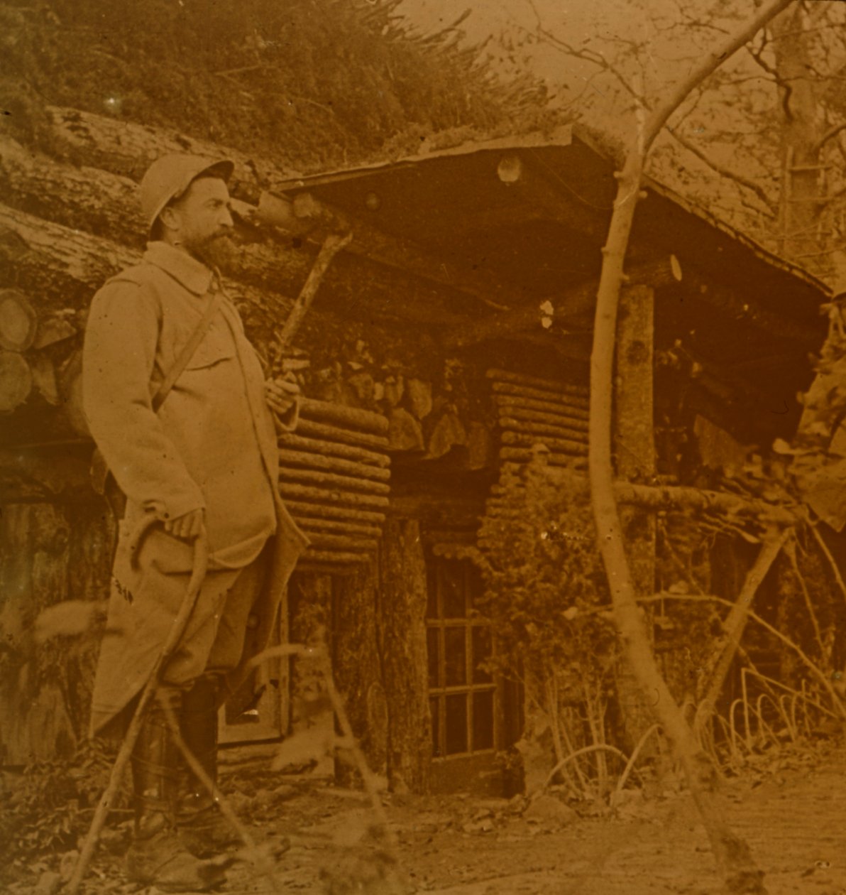 Bois dHaumont, उत्तरी फ्रांस, c1914-c1918 द्वारा अज्ञात