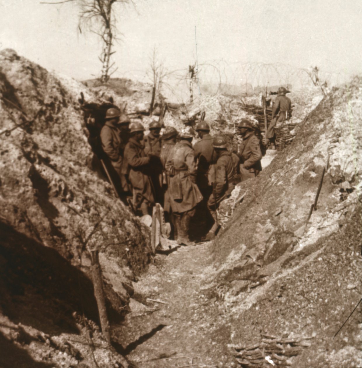 हमले से पहले जंगला की लकड़ी, उत्तरी फ्रांस, c1914-c1918 द्वारा अज्ञात