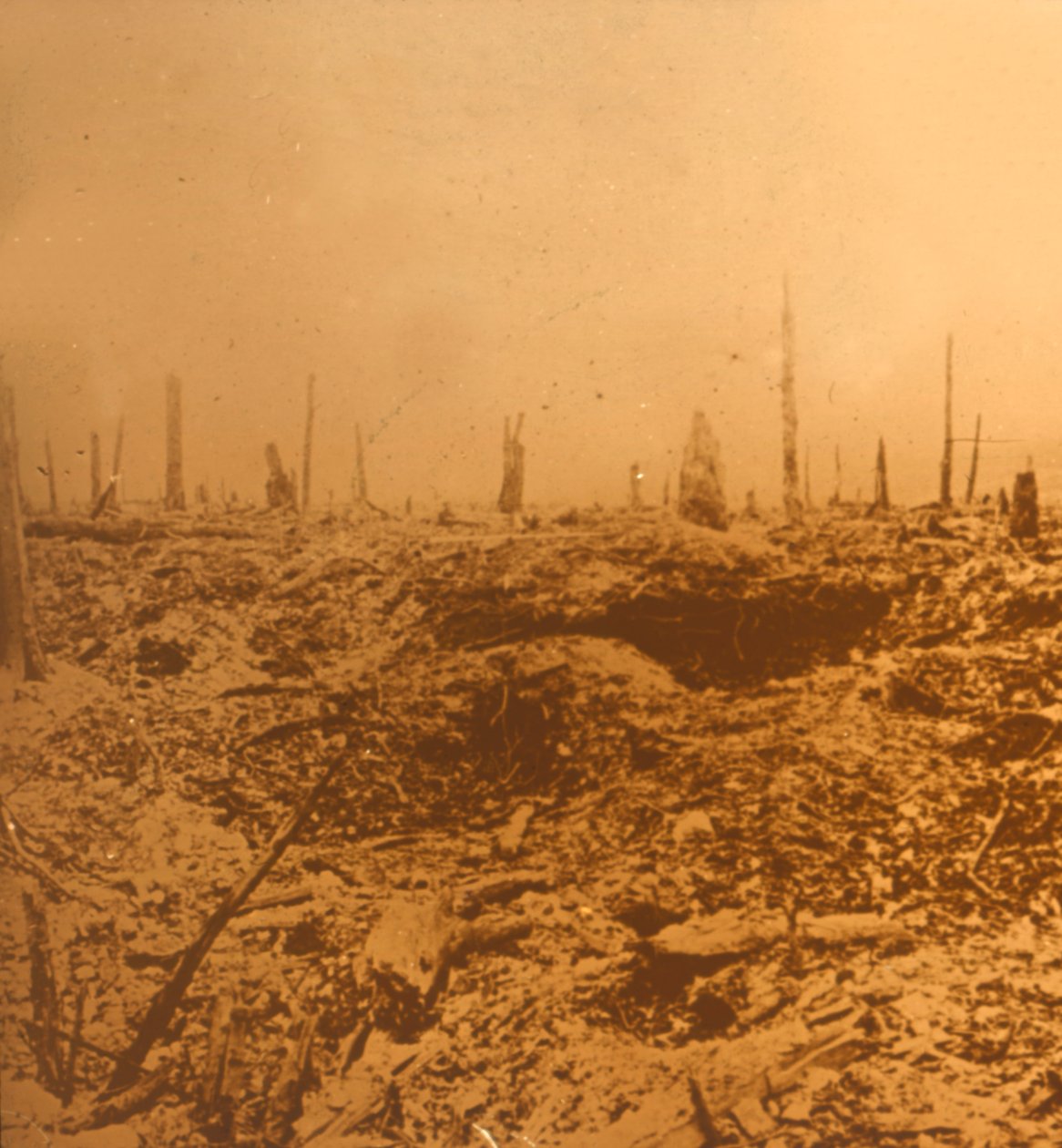 बोइस डु चैपिट्रे, वॉक्स, उत्तरी फ्रांस, c1914-c1918 द्वारा अज्ञात