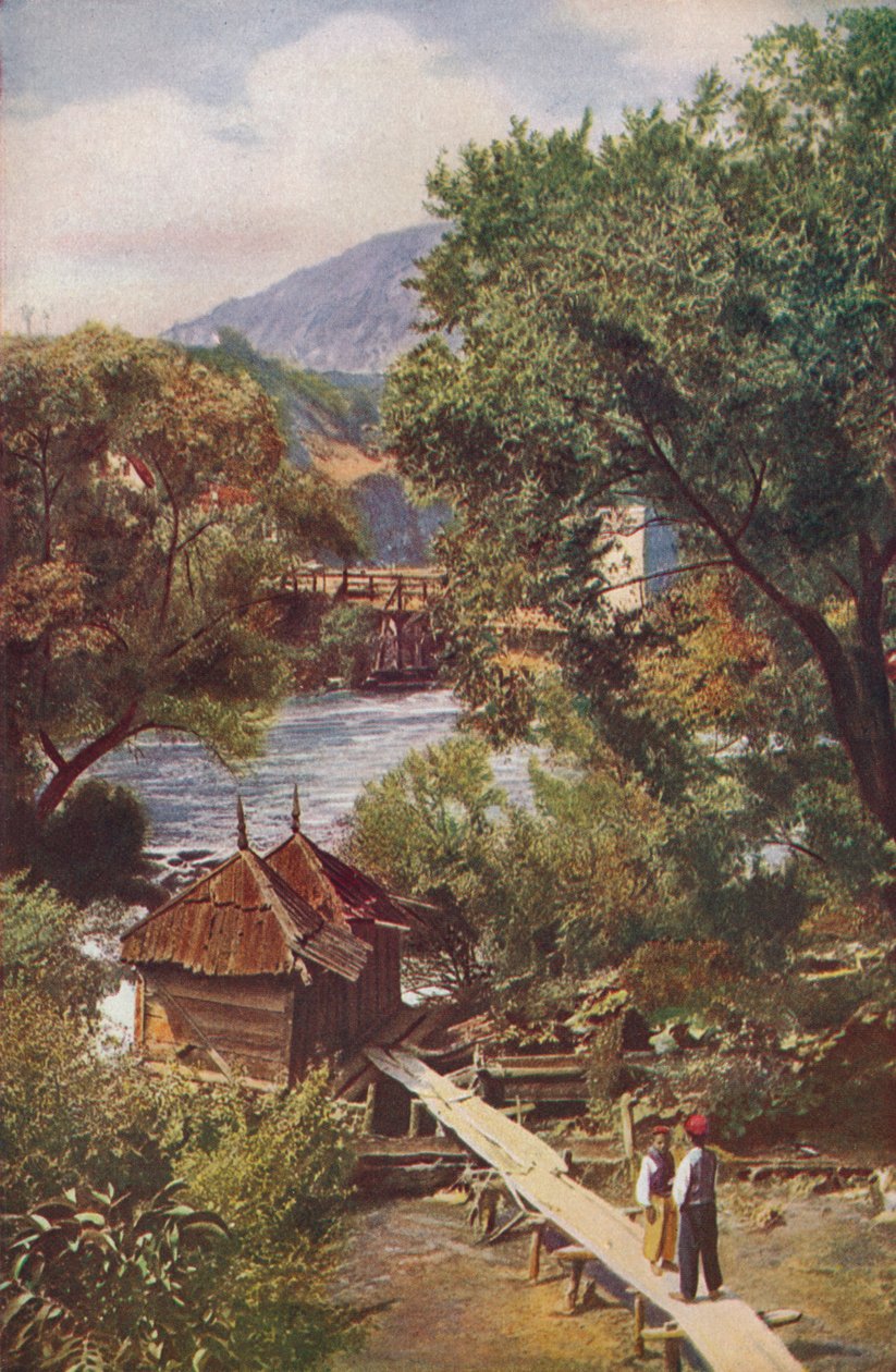 बोस्निया ..., c1920 द्वारा अज्ञात
