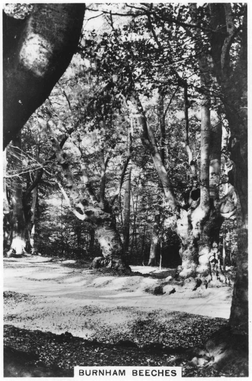बर्नहम बीचेस, बकिंघमशायर, 1937 द्वारा अज्ञात