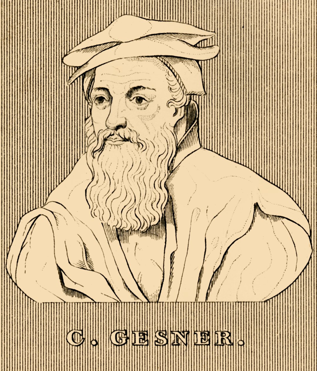 सी Gesner, 1516-1565, 1830। द्वारा अज्ञात