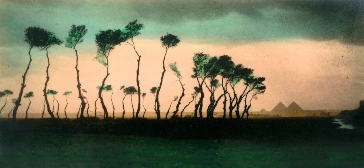 काहिरा: पिरामिड, c1918-c1939। द्वारा अज्ञात