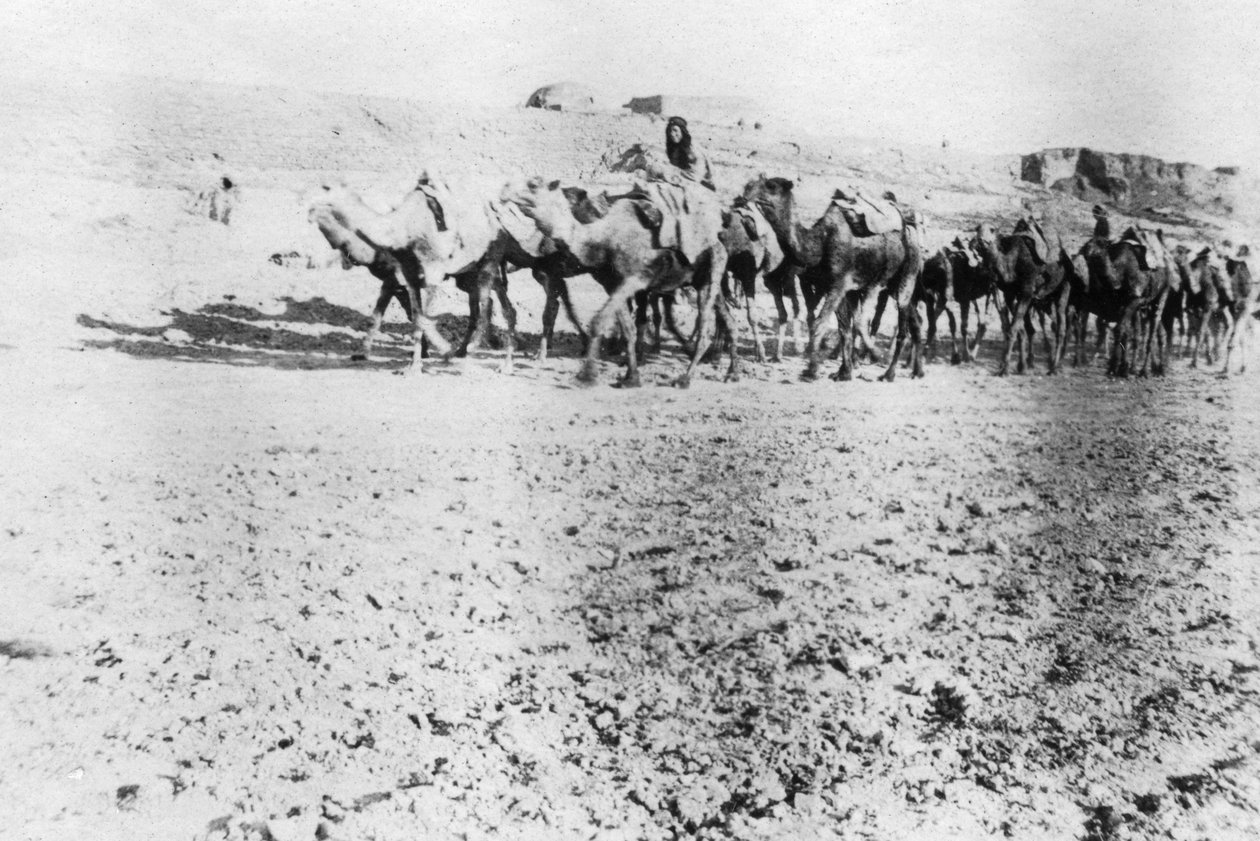 ऊंट ट्रेन, मोसुल, मेसोपोटामिया, 1918 द्वारा अज्ञात