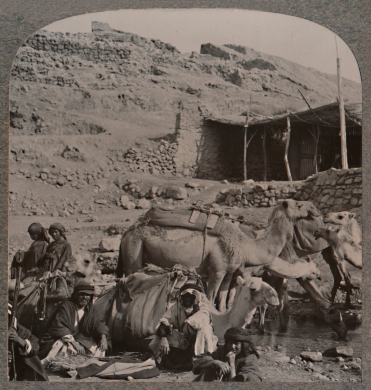 येरश से ऊंट ट्रेन, एलीशा के फाउंटेन में पानी, c1900 द्वारा अज्ञात