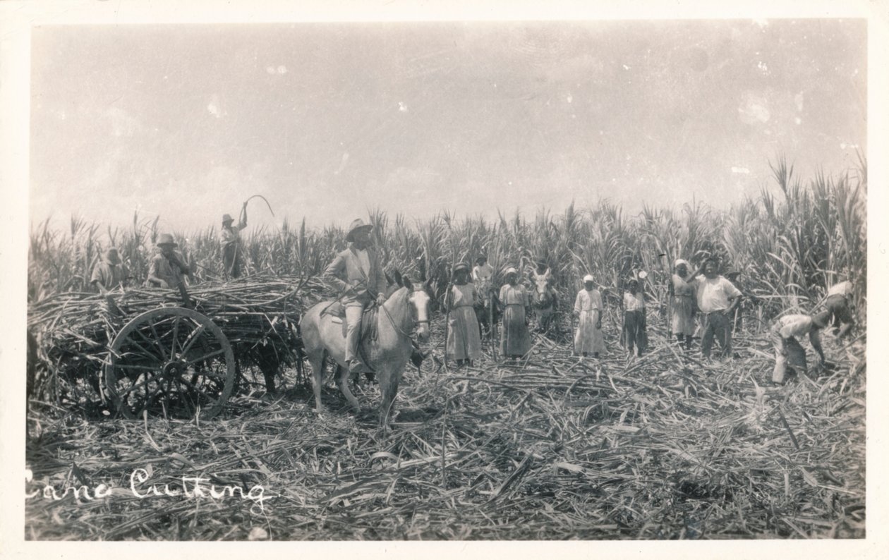 केन कटिंग, c1930 द्वारा अज्ञात
