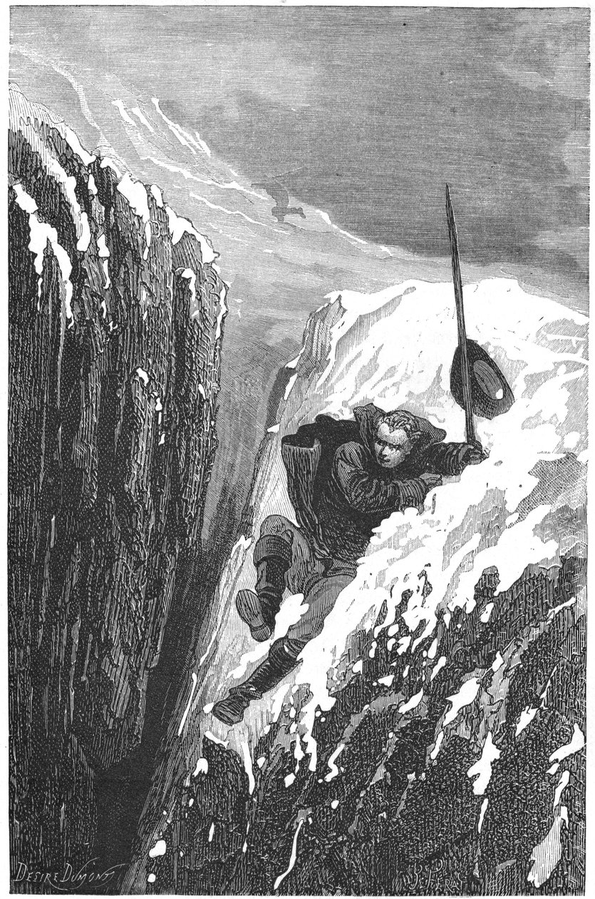 कैरोलस लिनियस, 18 वीं शताब्दी के स्वीडिश वैज्ञानिक और प्रकृतिवादी, 1874 द्वारा अज्ञात