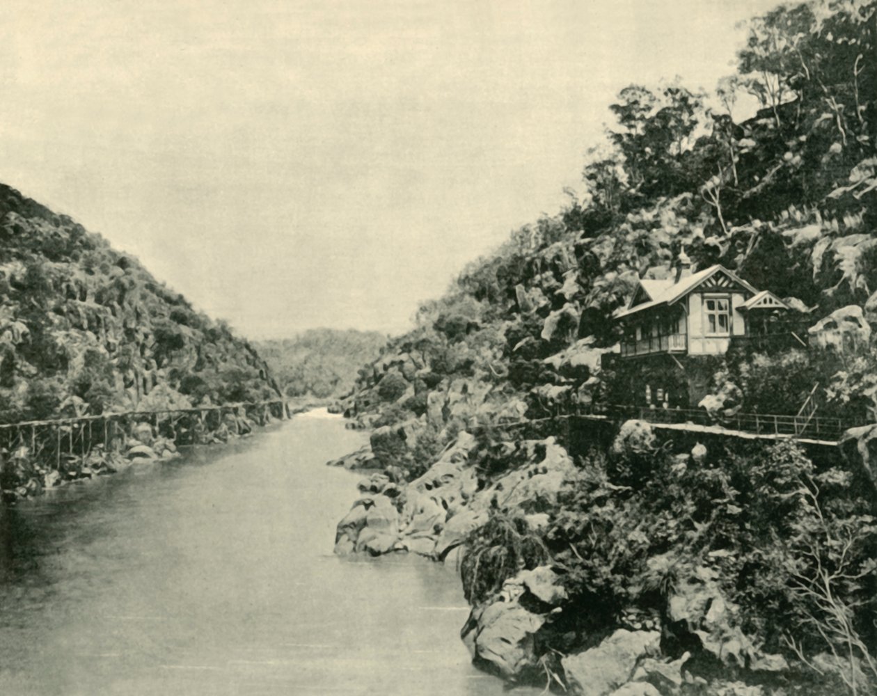 मोतियाबिंद कण्ठ, पुल, लाउंसेस्टन, 1901 से। द्वारा अज्ञात