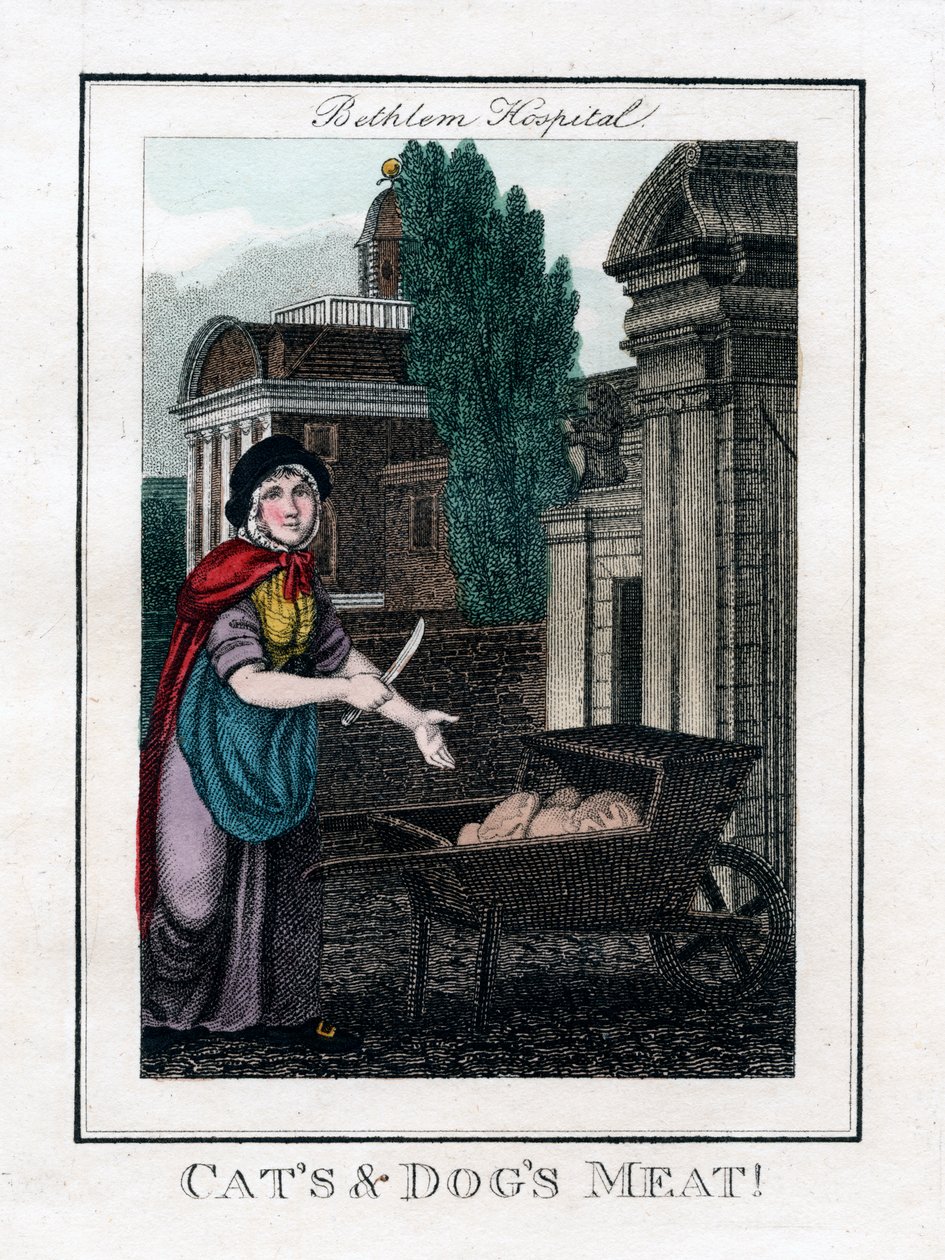 बिल्ली और कुत्ते का मांस !, बेथलेम अस्पताल, लंदन, 1805 द्वारा अज्ञात