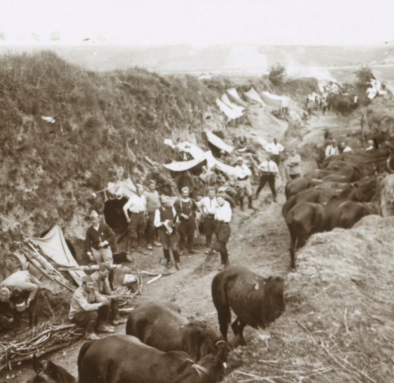 कैवलरी, c1914-c1918 द्वारा अज्ञात