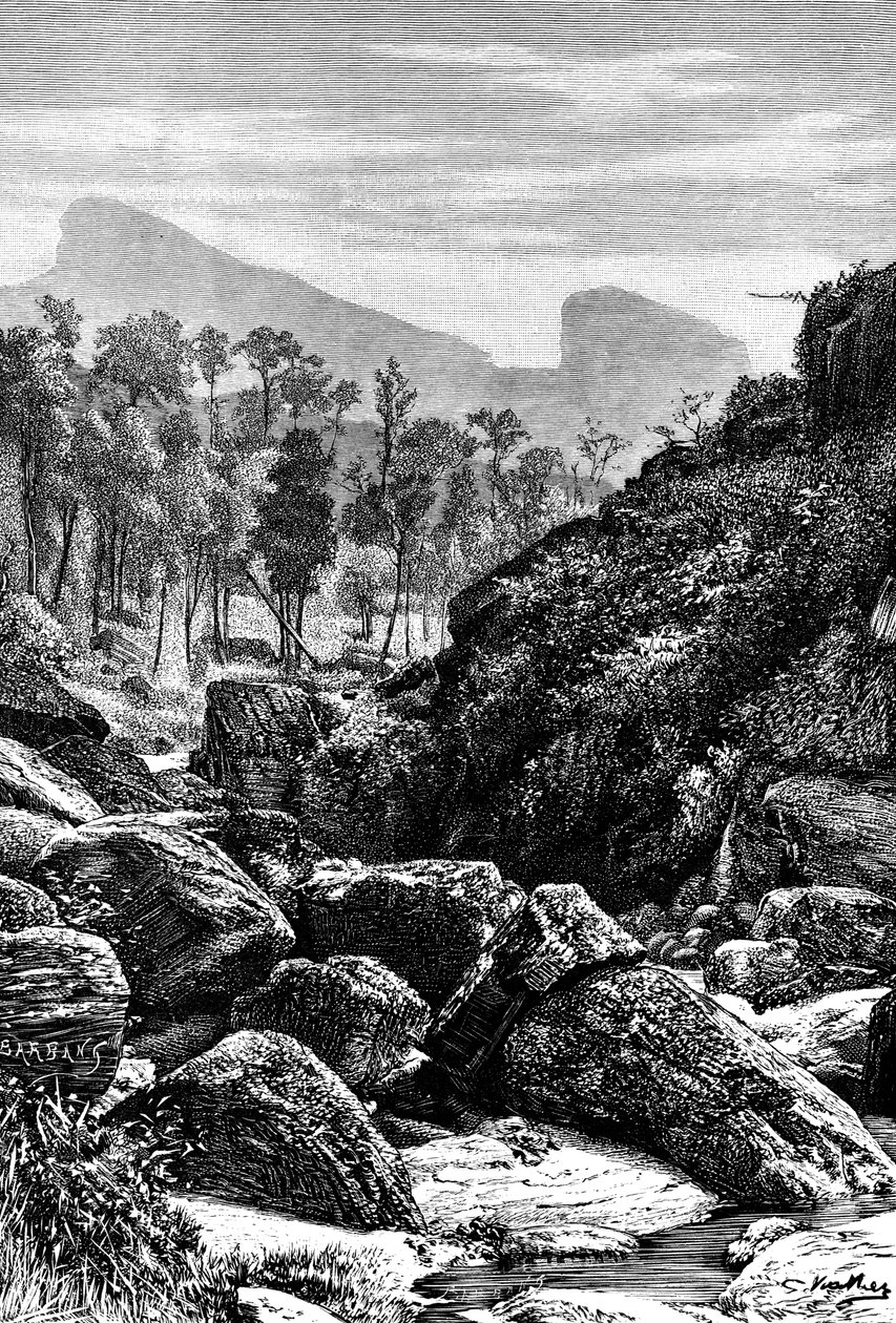 सीलोन श्रीलंका, 1895 द्वारा अज्ञात