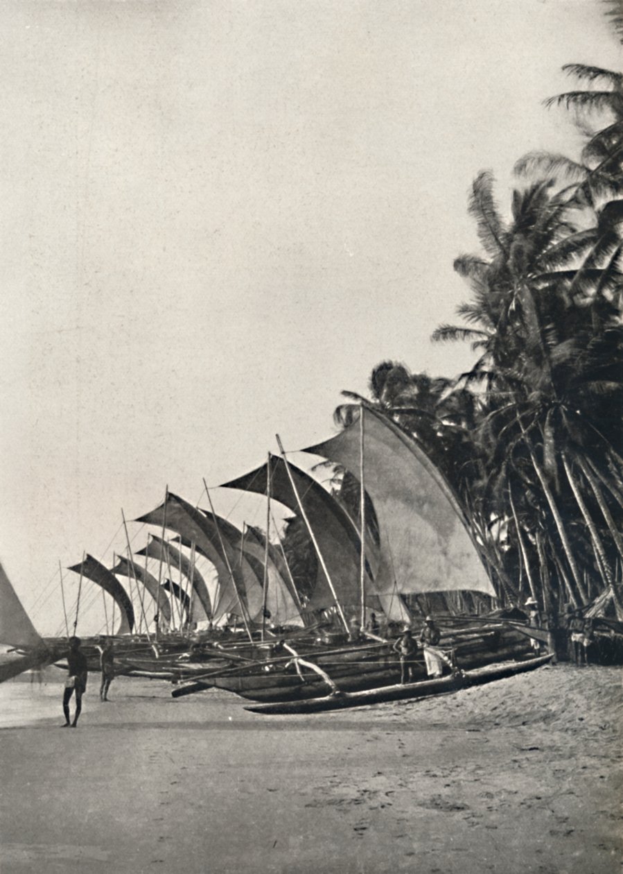1926 में समुद्र के किनारे सीलोनियन समुद्री मछली पकड़ने की नावें द्वारा अज्ञात